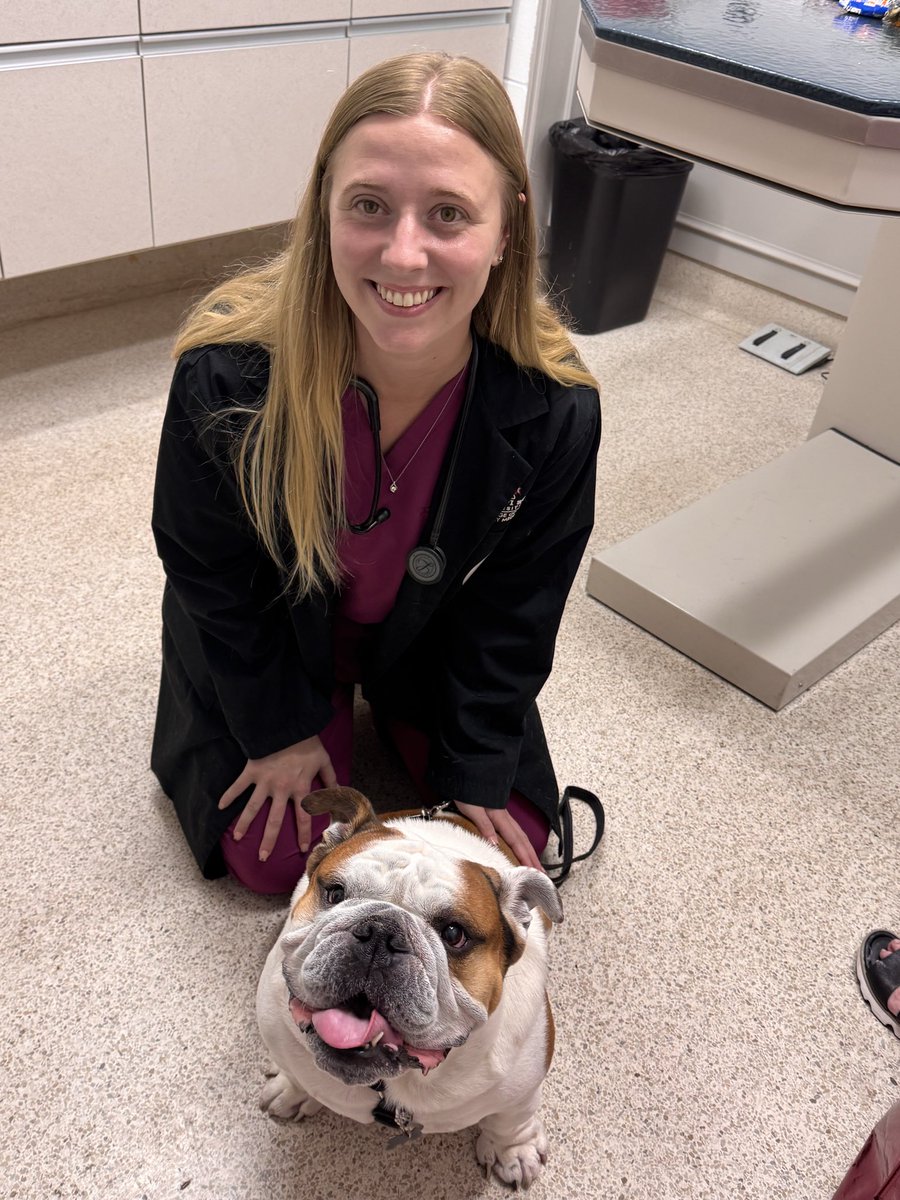 Dak - Bully XXII tweet media