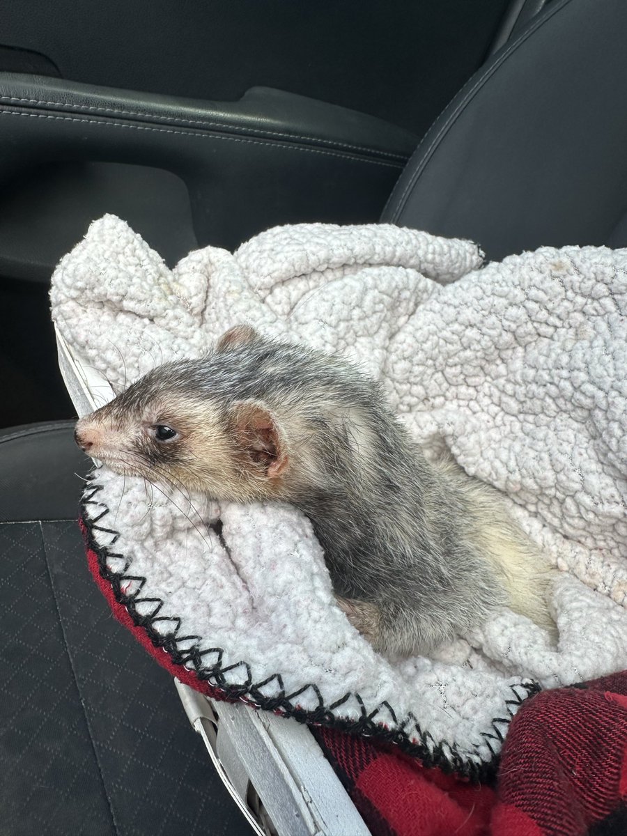 MaryCate Delvey tweet media