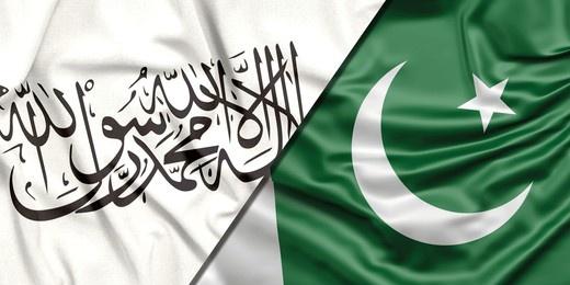 افغانستان اور پاکستان دونوں برابر اسلامی ممالک ہیں، دونوں ممالک میں مسلمان رہتے ہیں، جن کے درمیان بہت ساری مشترکات قائم ہیں.
ہم دعا کرتے ہیں کہ اللہ تعالیٰ یہ خطہ امن اور سلامتی کا گہوارہ بنائے. آمین