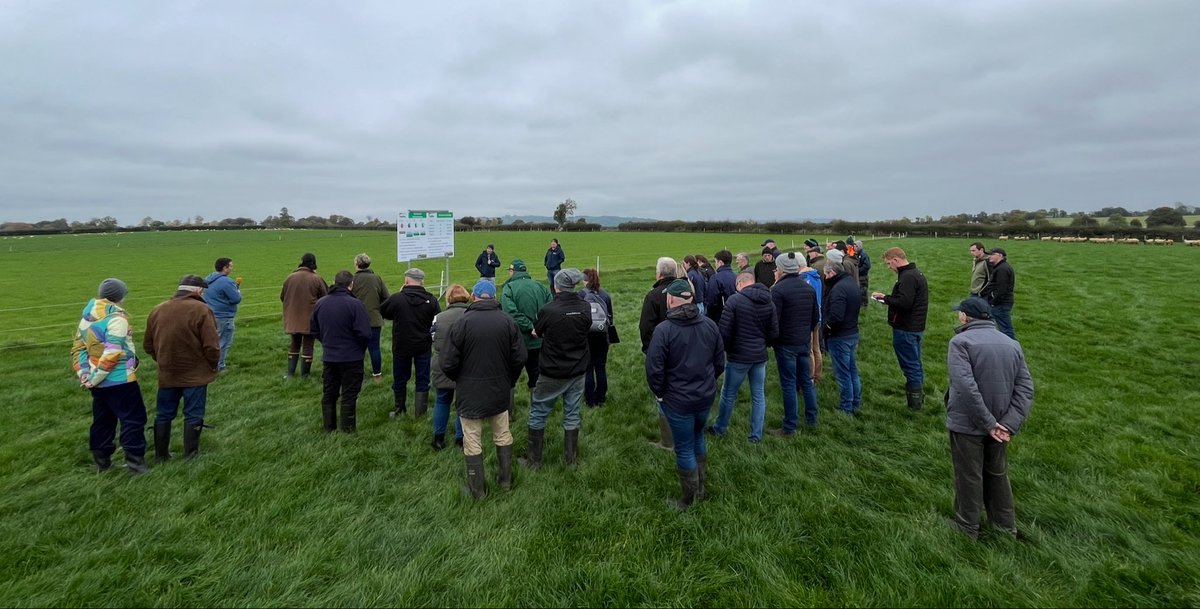 TeagascWWC's tweet photo. Some photos from our BETTER sheep farm walk today on the farm of Eddie Gavin, Fenniscourt, Co. Carlow. 

Breeding plans, lamb finishing group performance &amp; the role of catch crops prompted some great discussion amongst attendees 🐑🐑🐑 https://t.co/Qa3IMyEYOJ