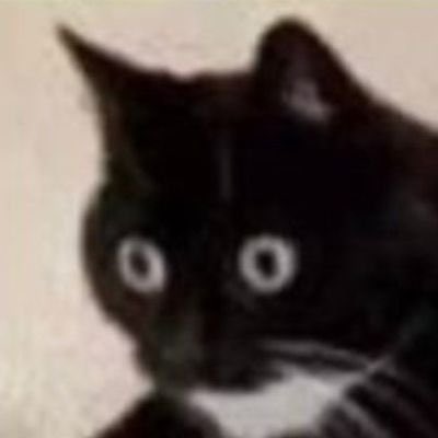 Hirano  tweet media