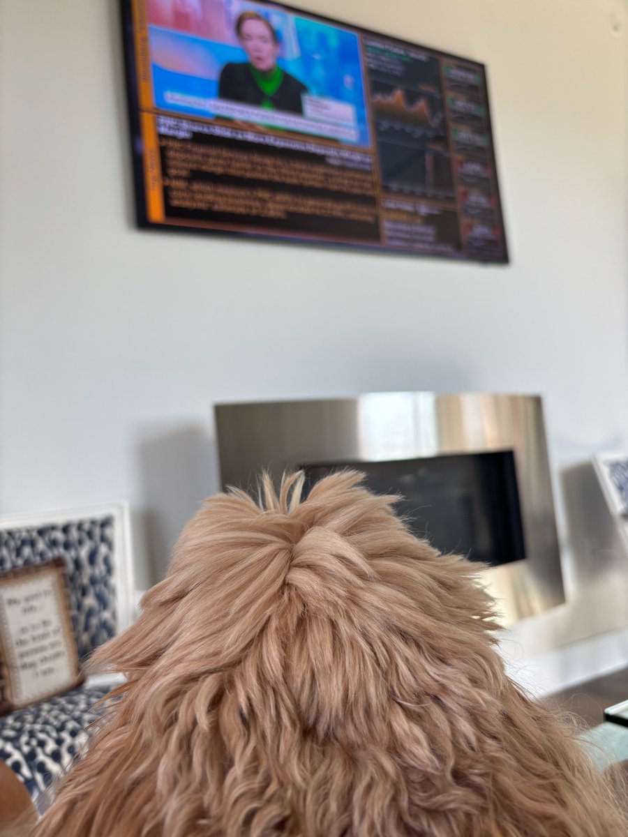 Always a pleasure to be a guest on #BloombergTech with <a href="/CarolineHydeTV/">Caroline Hyde</a>  and <a href="/EdLudlow/">Ed Ludlow</a>. Also great to have a super fan. Patrick watching 'mom' this morning on Bloomberg News.

#PatrickWednesday #TechNews #AI #Valoir