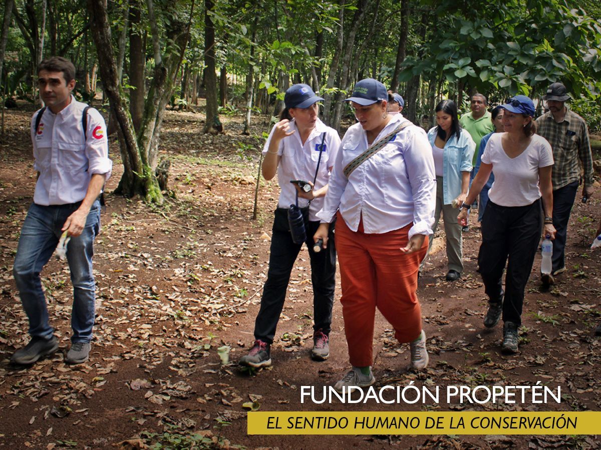ProPeten's tweet photo. 🌿 Lucía Lacalle y María González de la UE visitaron el Parque El Tecolote en San Benito, Petén, junto a autoridades locales y Fundación ProPetén. Reafirmaron el compromiso con un turismo sostenible e inclusivo, como parte de #GlobalGateway y #PeténMásSostenible. https://t.co/5WpNfMuBWN