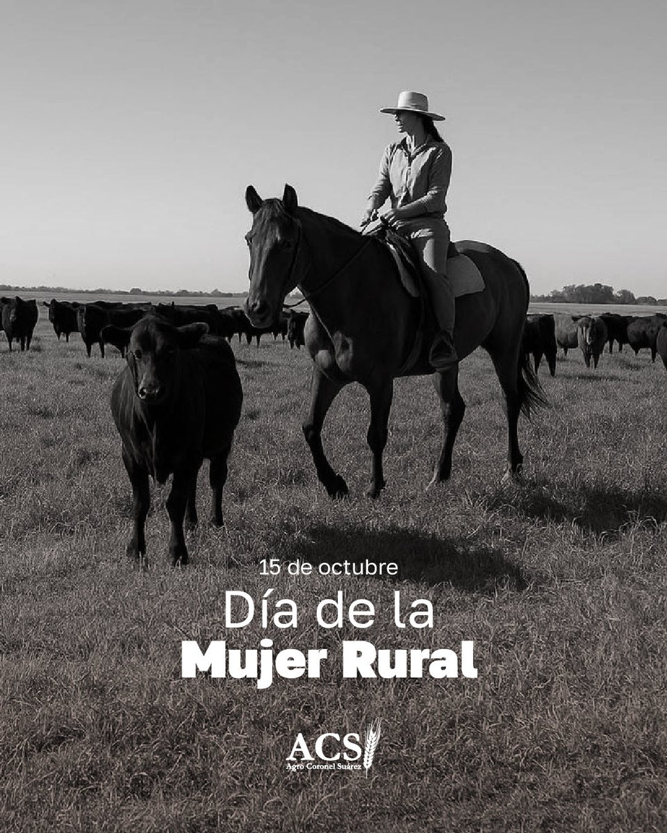 Celebramos el Día de la Mujer Rural, establecido para reconocer la función y contribución decisiva de las mujeres en el desarrollo agrícola y rural, la seguridad alimentaria y la mejora de la vida en las comunidades rurales.

¡En ACS valoramos el trabajo de todas las mujeres!🌾💛