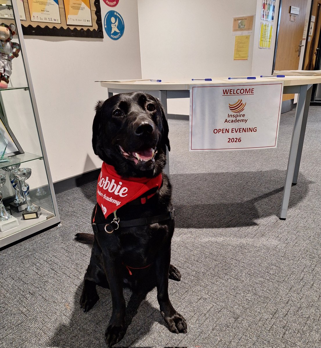 🐾❤️ Waiting to make some new friends at our open evening tonight. 🥰 Drop in between 5:30-7:00 and come and say hello 🐾 <a href="/Inspire_Ashton/">Inspire Academy</a>