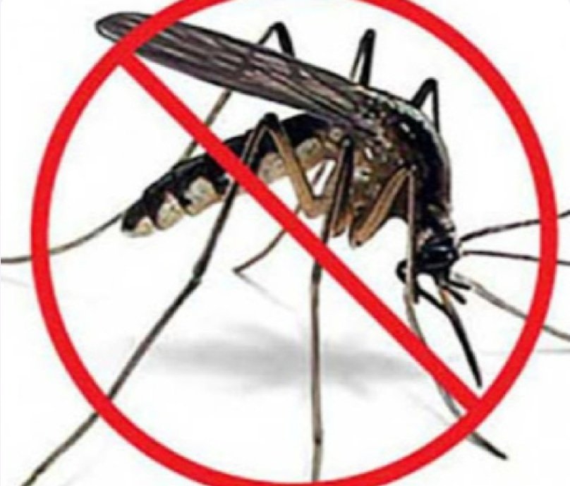 🦟 ¡Atención! El dengue y el chikungunya están al acecho. Fiebre, dolor muscular y erupciones son señales de alerta. Elimina criaderos,  y ¡no te automediques! Ante cualquier síntoma, acude al médico. La prevención salva vidas. #Salud #Prevención