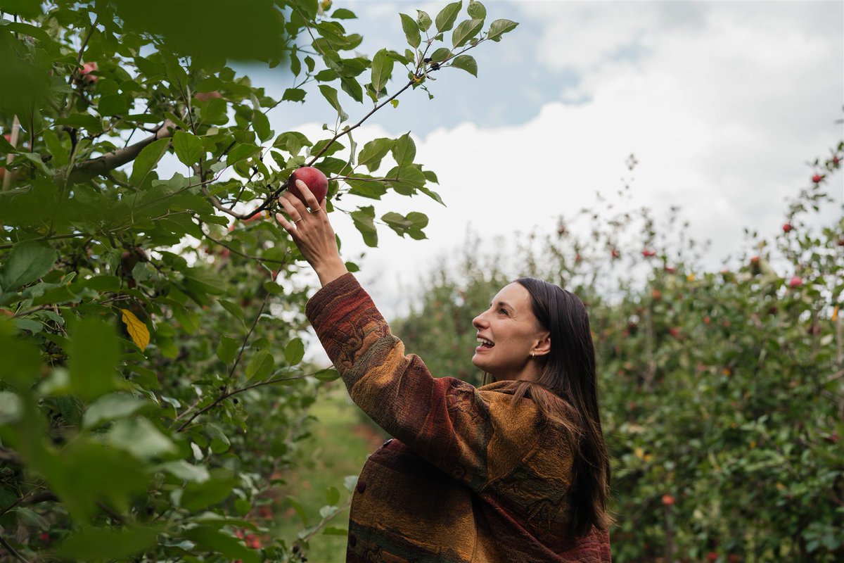 Discover Sparta! 🍎 Just 20 minutes north of Grand Rapids, this charming village is full of farm-fresh flavor, local shops, art, and outdoor fun. 🍂 Plan your visit with our guide below! 🍏

experiencegr.com/articles/post/…