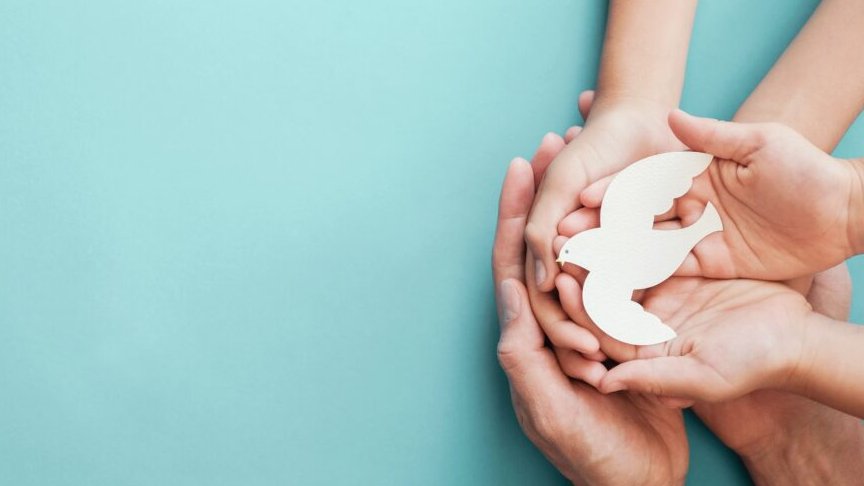 🚨Applications for awards of up to €60,000 through the PEACEPLUS Change Maker Funding Programme #PeaceChangemakers are now open!
Apply: changemaker.seupb.eu/no-auth/login?…
Click below to:
-register for our free support workshops for applicants
-contact us for support
cooperationireland.org/call-for-appli…