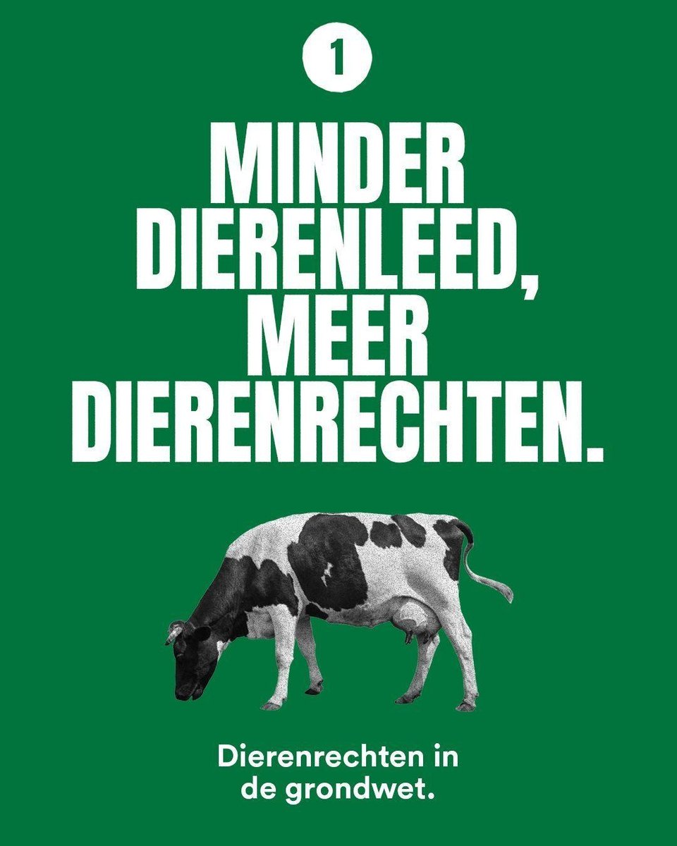 ⚖️ Minder dierenleed, meer dierenrechten

Dieren hebben, net als wij, bewustzijn en gevoel.
#Dieren hebben rechten. En die leggen we vast in de Grondwet.

Dit is de eerste van onze 5 speerpunten. De komende dagen lichten we de andere 4 speerpunten uit.

#TK2025 #PvdD #Natuurlijk