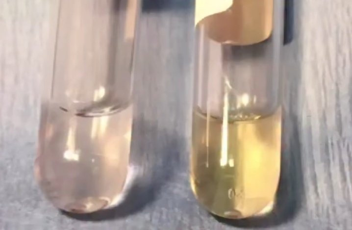 nervemed tweet media