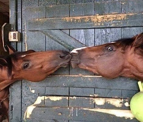 Pucker up sweetie…..😘💋😘