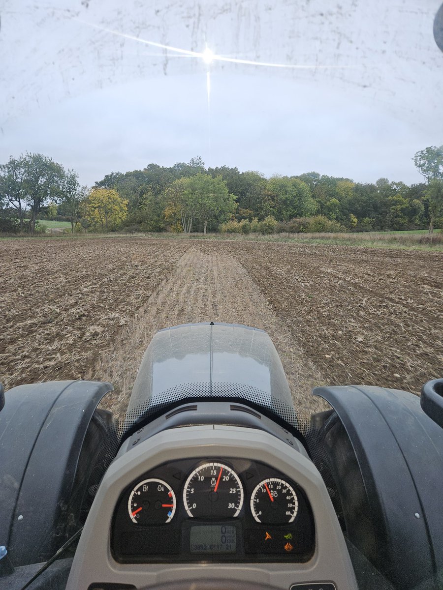 Mark Robinson tweet media