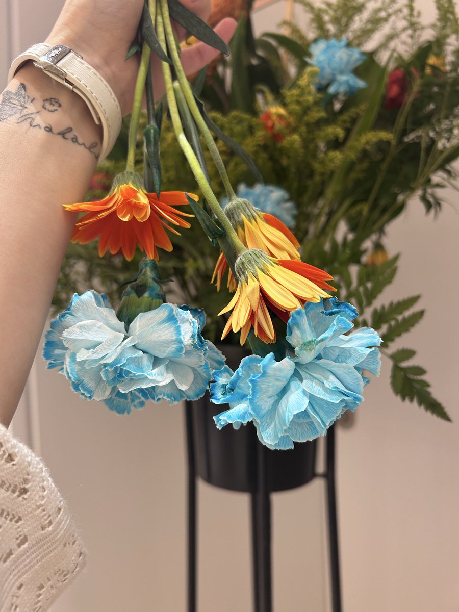 tomochistyle-pua tweet media