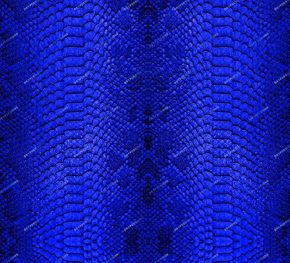 drypdesigns's tweet image. 💧Blue Snakeskin Seamless Digital Paper Background Texture - Python Snakeskin Digital Background PNG - Digital Download Files by drypdesigns💧ift.tt/y9Y7rwl #drypdesigns #digitaldownload #digitalart #graphicdesign #PNG