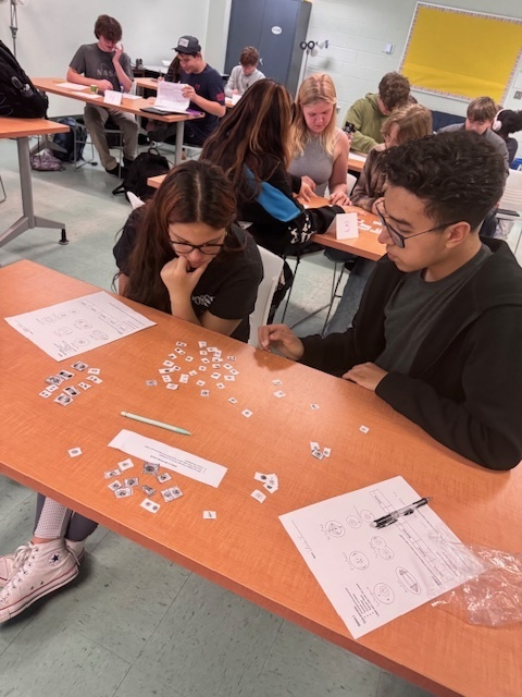 pec_seawolves's tweet image. Students  in Ms. King's Biology class work with their partner at each station to review cell division. #mitosis #meiosis