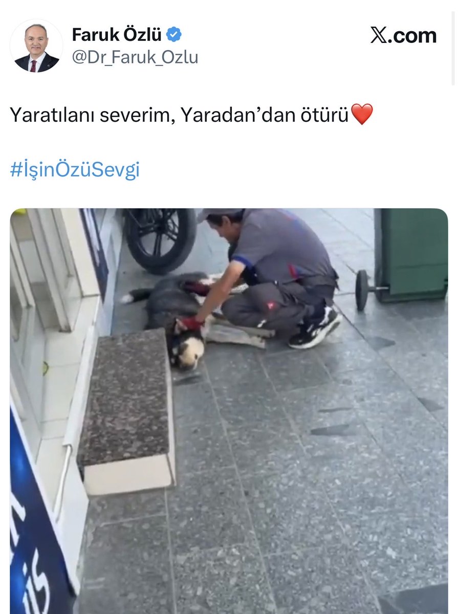 Düzce Belediye Başkanı Faruk Özlü ve valisi Selçuk Aslan, başıboş köpeklerin peşine düşeceklerine kendilerini eleştiren onurlu insanların peşine düşmüşler!

Sizin göreviniz, yönettiğiniz  şehirde 5199 sayılı Kanunu uygulayıp vatandaşı bezdiren başıboş köpekleri toplanmaktır.