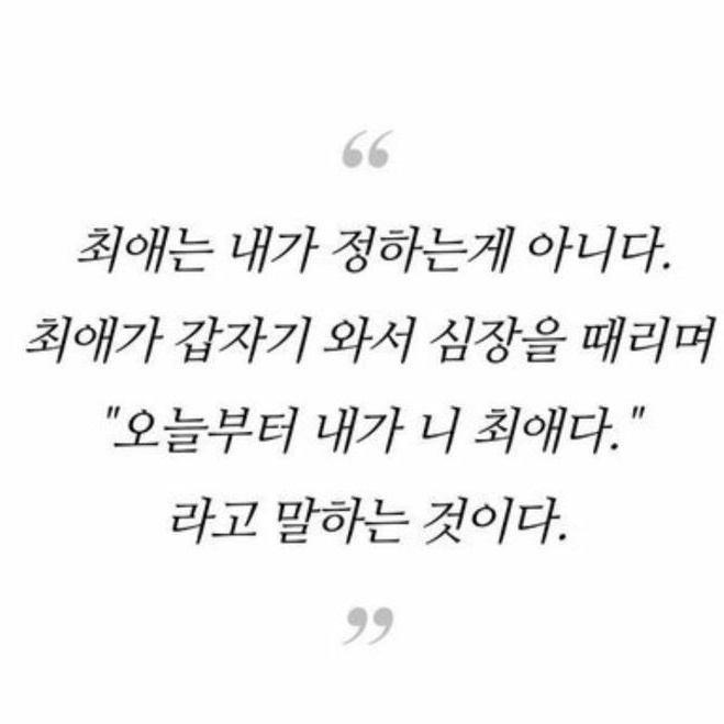 달꾸밍 tweet media