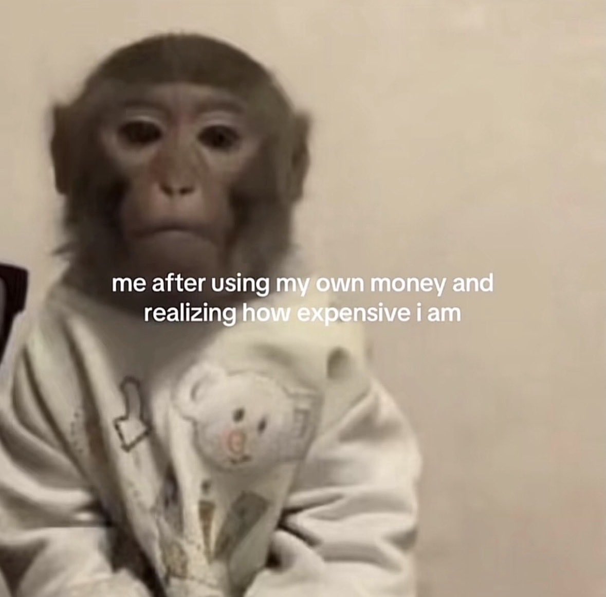 raccoon aesthetic. tweet media