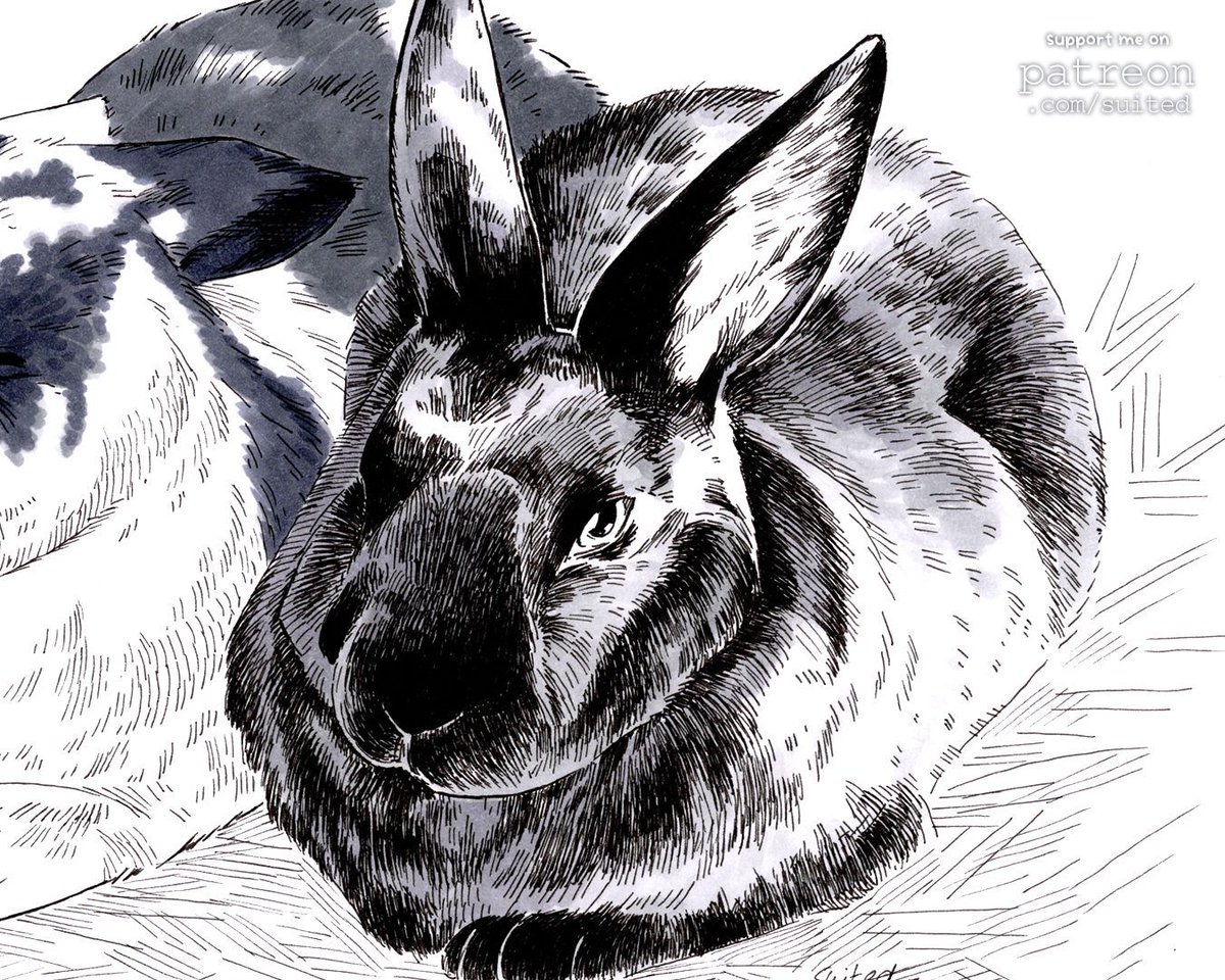 Adora &amp; Midnight ₊˚⊹☆ 

#petportrait