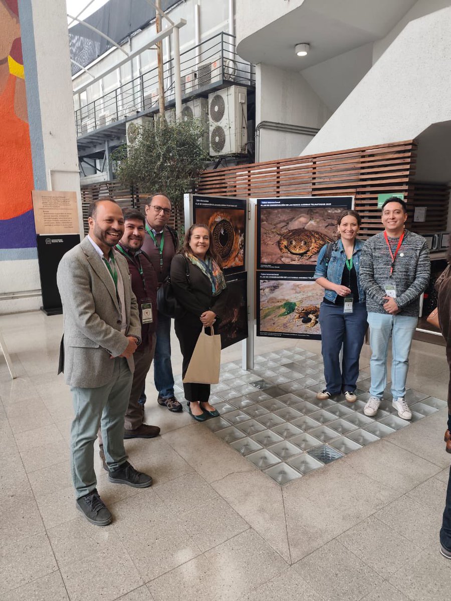 🔬La embajada del Ecuador 🇪🇨 participó en la Inauguración del Taller Internacional para la Elaboración del Plan de Conservación de las Ranas Andinas Telmatobius🐸, organizado por ASG, CPSG, UICN y la Universidad Andrés Bello <a href="/CancilleriaEc/">Cancillería del Ecuador 🇪🇨</a> <a href="/EcuadorMAE/">Ministerio de Ambiente y Energía</a> <a href="/PUCE_Ecuador/">PUCE Ecuador</a> ⤵️