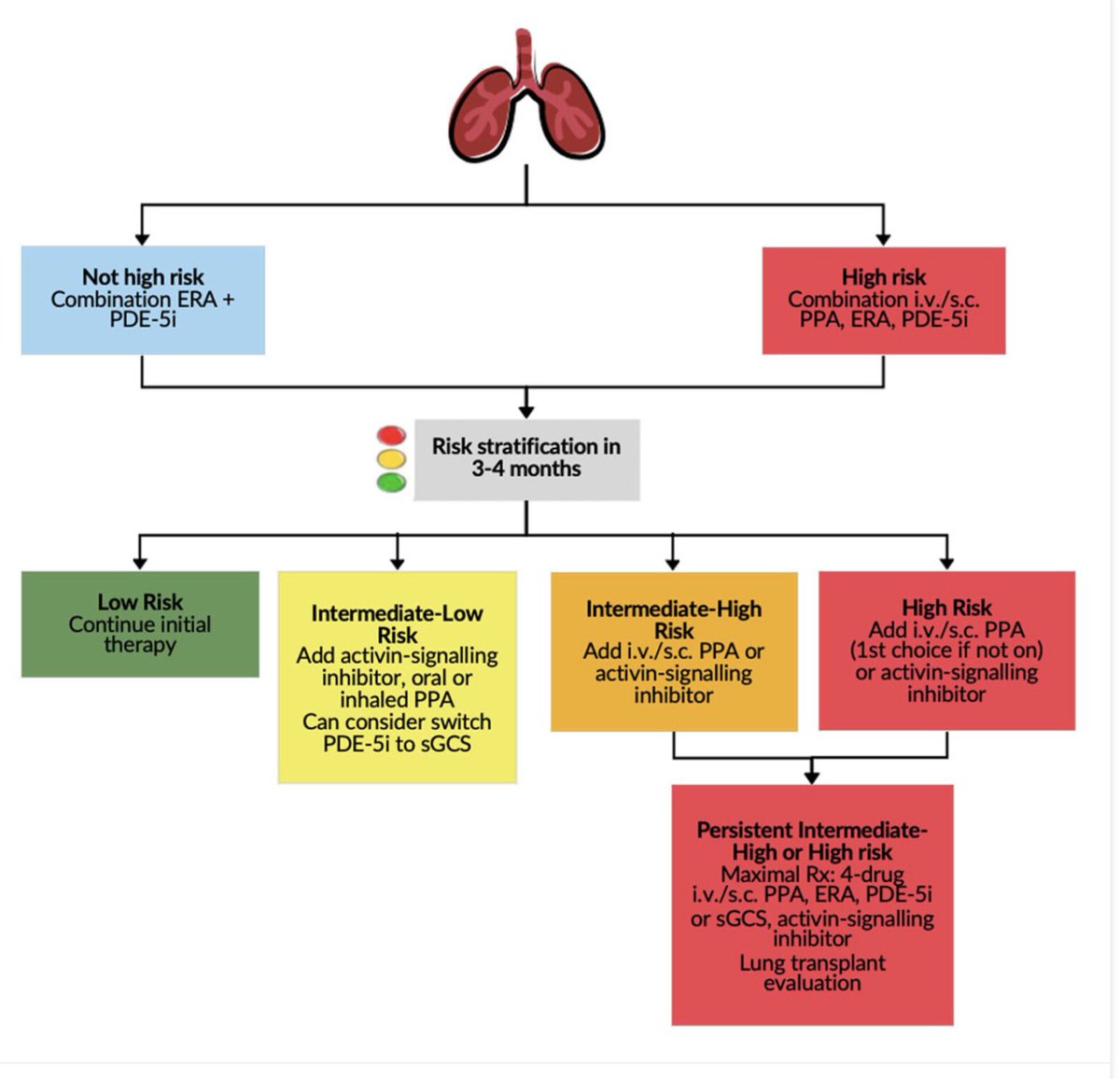 The complexity of managing a patient with CTD-PAH can be dizzying. 😵‍💫
Our latest paper breaks down the management of these patients into practical pieces.

journals.sagepub.com/doi/10.1177/17…