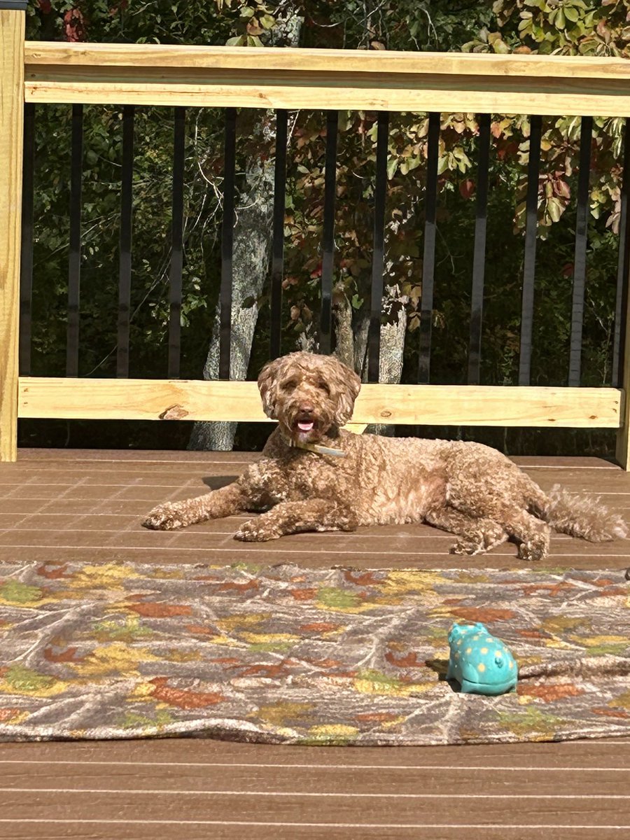 Bryan Auxier tweet media