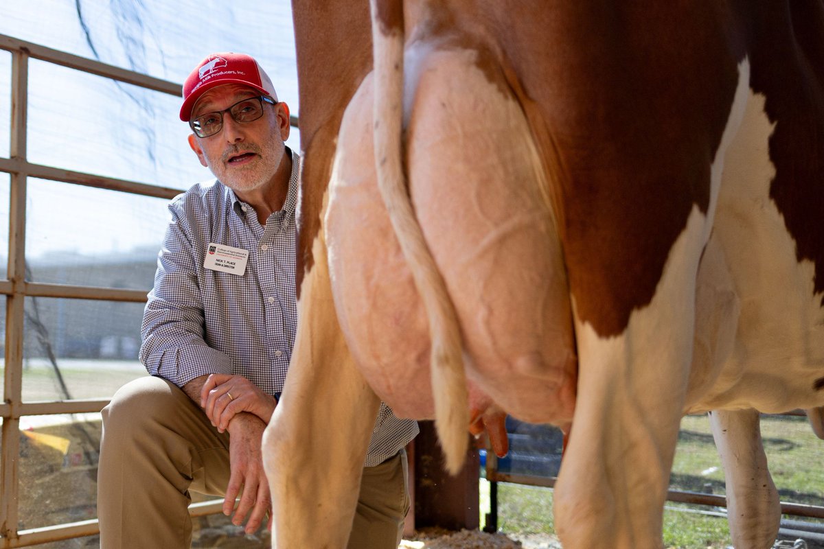 UGA Agricultural & Environmental Sciences tweet media