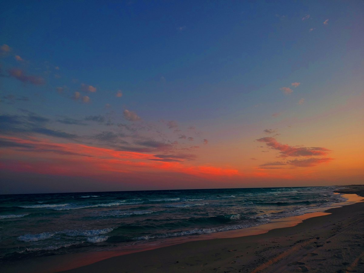 Dusk Lens tweet media