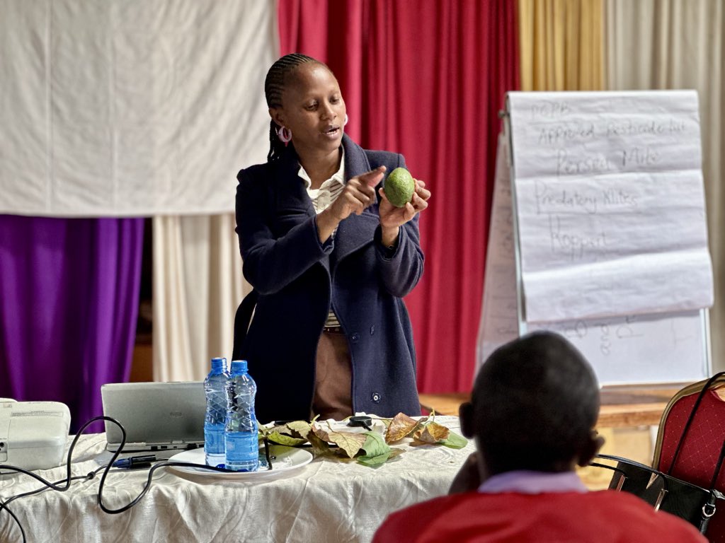FPCKenya_'s tweet photo. ๐
Day Two done!
Todayโs farmer trainings in Makueni & Murangโa focused on:
โ
Safe use of plant protection products
โ
Hygiene
โ
Worker safety & health
Funded by @EUinKenya through @TradeMarkAfrica & implemented by AESA.
#FPCKenya #GlobalGAP #FoodSafety #SustainableFarming https://t.co/urVkNWLFIo