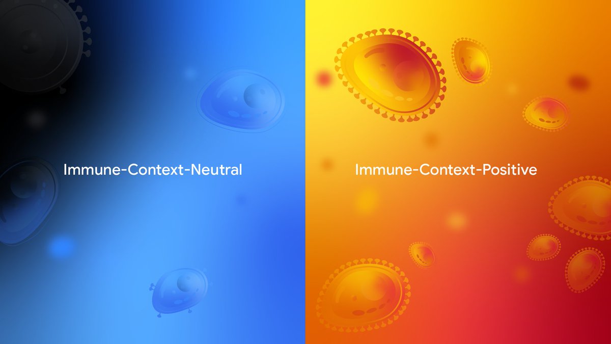 Google AI Developers tweet media