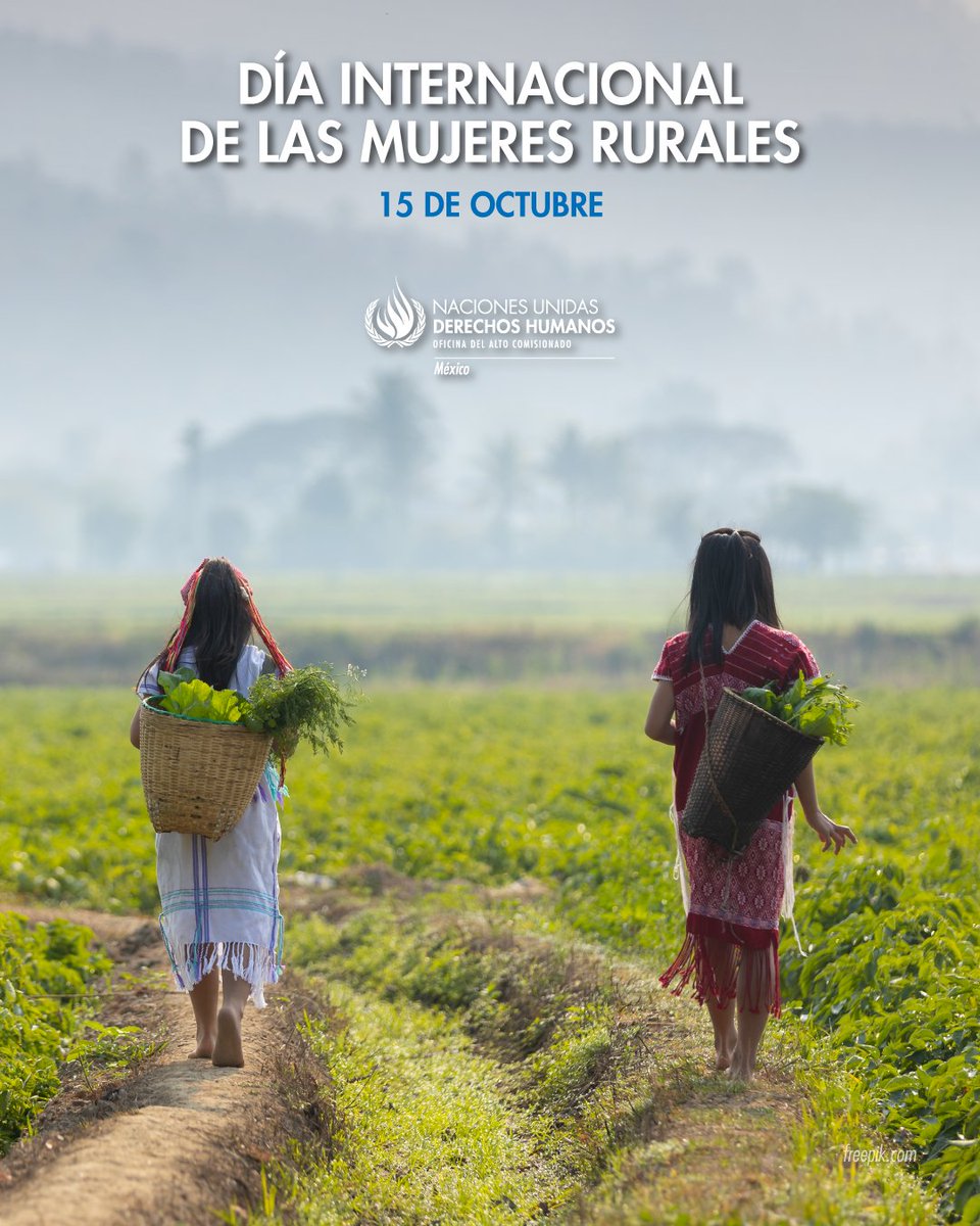 ONUDHmexico's tweet photo. En el Día Internacional de las #MujeresRurales recordamos que en México, las mujeres rurales, muchas de ellas indígenas, son guardianas de las semillas. Su labor va más allá de la agricultura: las semillas son memoria, saberes, identidad y poder. Reconocer su papel es reconocer la raíz viva de nuestras comunidades.

🔗https://t.co/mNTroQU94H