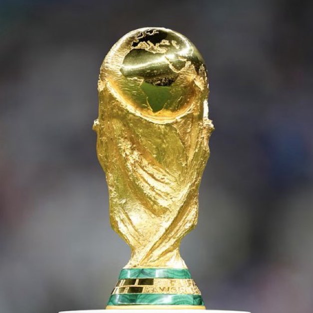 Caт Bee 🪶 tweet media