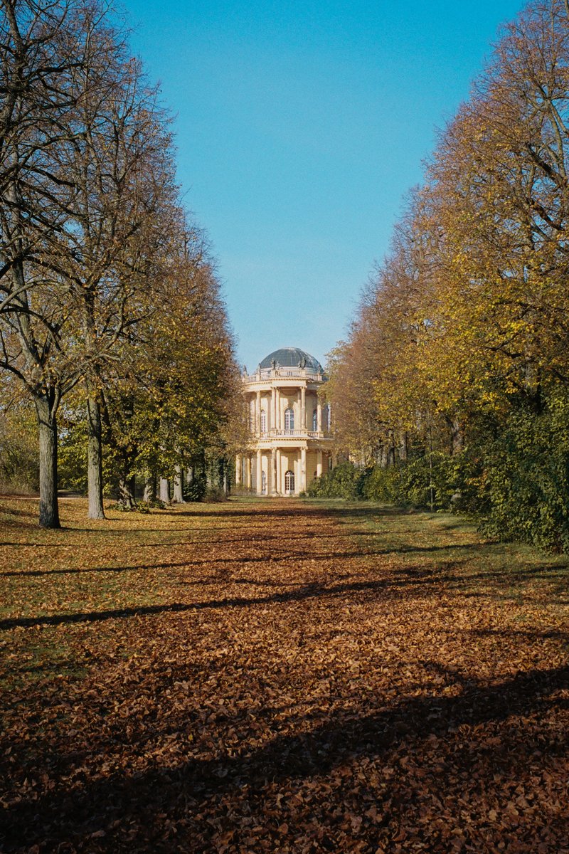 Autumn in Potsdam on 35mm film 🎞️