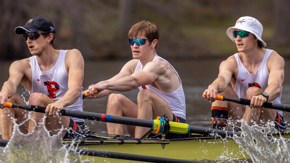 Princeton Lights tweet media