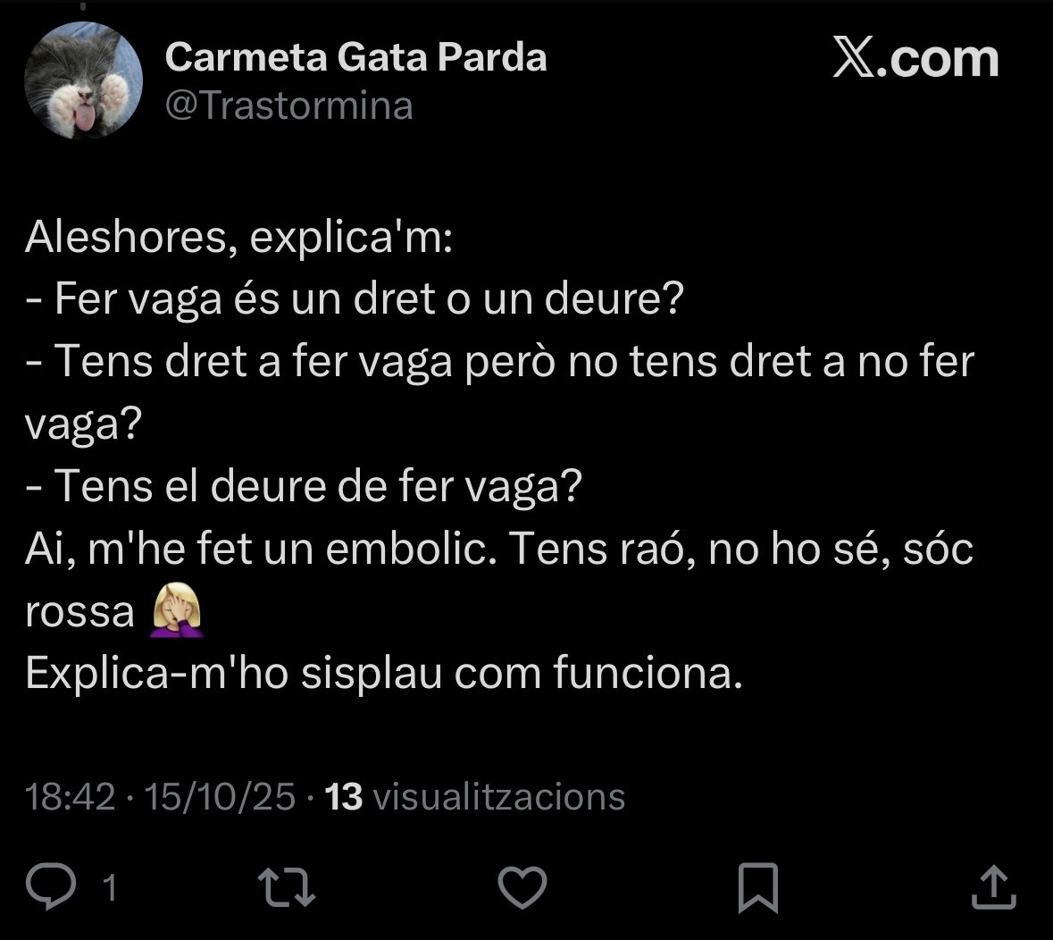 MarcKnijff's tweet photo. @Trastormina Perquè em cites? El teu principal argument es ferte la tonta irònicament https://t.co/1f6NZlD0pz