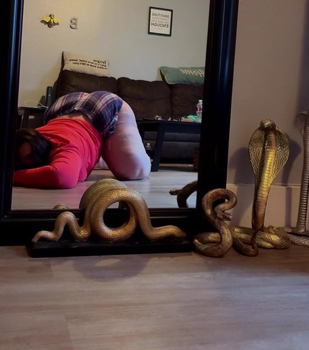 cobrathegod888's tweet photo. All my videos are on saleeee 🥴 

https://t.co/gwE0jRpZx6 https://t.co/own1KvR23r
