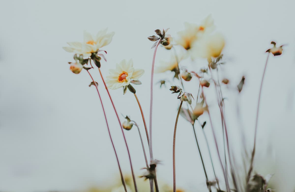 PsyBlog's tweet image. This Simple Living Secret Is Making People Happier Than Ever (M) spring.org.uk/2025/10/simple…