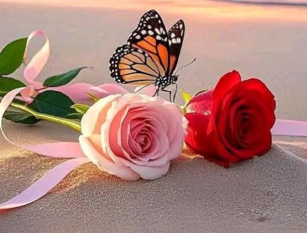 🌸 سید محمود حسین🌸 (@smh2t) on Twitter photo #TPG
<a href="/1z_K8/">ZK</a> <a href="/_Qpr1/">𝒬𝓊𝑒𝑒𝓃ꪫꤪꤨ𝒫𝓇𝑜𝓂𝑜♟️</a>
<a href="/IK54_/">ᎯᎥᏥ 𝓣𝓱𝓪 ᎯᎯᎷᎥᏒ ᶦᵏᶠ</a> <a href="/Kl_96_/">Kirlu - The Fiend</a>
<a href="/m80mh/">Muhammad Hilal</a>
<a href="/MYK_63/">Mohammad Yameen khan</a>
<a href="/Sc2017W/">SC2017</a>
<a href="/MH512_/">Husain Ali Alavi🫀</a>
<a href="/TarqJ75/">میاں طارق جاوید</a>
<a href="/ISI0013/">Itx_013.</a>
<a href="/Sprxzy2/">Umar</a>
<a href="/Hmid71/">⤥𝙃𝙖𝙢𝙞𝙙 𝙎𝙝𝙯𝙖𝙙⤣</a>
<a href="/MSTX011/">MsTf@</a>
<a href="/RS_Pti/">◣𝑹𝒂𝒔𝒉𝒊𝒅 𝑺𝒂𝒕𝒕𝒊◥</a>
<a href="/Hfn08/">𝐻𝒶𝓂𝓃𝒶 𝒦𝒽𝒶𝓃 ✨️</a>
<a href="/Fk_804/">Fighter Khan ⛈️</a>
<a href="/Is_804/">itx_shieldTʰᵘⁿᵈᵉʳ Sᑫᵘᵃᵈ</a>
<a href="/1par0/">𝐐𝐮𝐞𝐞𝐧‿𝐩𝐚𝐫𝐨 ♡</a>
<a href="/1Lvz0/">𝐿𝒶v𝑒𝑒𝓏𝒶_🍃</a>
<a href="/1lalh/">Muhammad Hilal</a>
<a href="/Zt_1_/">Tʰᵘⁿᵈᵉʳ Sᑫᵘᵃᵈزندگی بن گئے ہو تم</a>
<a href="/Hfz_2/">Abdul Hafeez</a> <a href="/9oshg/">🌸 نوشی🌸</a>
<a href="/Zbry_1/">Zubariya</a>
<a href="/k_a768/">KAMI</a>
<a href="/_NM40/">Nabeel Zaffar</a> <a href="/_Sds3/">Sadam Rajput</a>
<a href="/k_ali40/">kamran ali</a>
<a href="/Sd_S10/">Sadam Rajput</a>
<a href="/OdriSeva/">Odri Seva</a>
<a href="/Athar0081/">Athar</a>
<a href="/Doctor0016/">𝙳𝚘𝚌𝚝𝚘𝚛 ☄</a> <a href="/Munsif2/">𝐌𝐮𝐧𝐬𝐢𝐟 ᵃᵇᵘ ˢᵃˡᵃᵐ</a> #TPG
<a href="/1z_K8/">ZK</a> <a href="/_Qpr1/">𝒬𝓊𝑒𝑒𝓃ꪫꤪꤨ𝒫𝓇𝑜𝓂𝑜♟️</a>
<a href="/IK54_/">ᎯᎥᏥ 𝓣𝓱𝓪 ᎯᎯᎷᎥᏒ ᶦᵏᶠ</a> <a href="/Kl_96_/">Kirlu - The Fiend</a>
<a href="/m80mh/">Muhammad Hilal</a>
<a href="/MYK_63/">Mohammad Yameen khan</a>
<a href="/Sc2017W/">SC2017</a>
<a href="/MH512_/">Husain Ali Alavi🫀</a>
<a href="/TarqJ75/">میاں طارق جاوید</a>
<a href="/ISI0013/">Itx_013.</a>
<a href="/Sprxzy2/">Umar</a>
<a href="/Hmid71/">⤥𝙃𝙖𝙢𝙞𝙙 𝙎𝙝𝙯𝙖𝙙⤣</a>
<a href="/MSTX011/">MsTf@</a>
<a href="/RS_Pti/">◣𝑹𝒂𝒔𝒉𝒊𝒅 𝑺𝒂𝒕𝒕𝒊◥</a>
<a href="/Hfn08/">𝐻𝒶𝓂𝓃𝒶 𝒦𝒽𝒶𝓃 ✨️</a>
<a href="/Fk_804/">Fighter Khan ⛈️</a>
<a href="/Is_804/">itx_shieldTʰᵘⁿᵈᵉʳ Sᑫᵘᵃᵈ</a>
<a href="/1par0/">𝐐𝐮𝐞𝐞𝐧‿𝐩𝐚𝐫𝐨 ♡</a>
<a href="/1Lvz0/">𝐿𝒶v𝑒𝑒𝓏𝒶_🍃</a>
<a href="/1lalh/">Muhammad Hilal</a>
<a href="/Zt_1_/">Tʰᵘⁿᵈᵉʳ Sᑫᵘᵃᵈزندگی بن گئے ہو تم</a>
<a href="/Hfz_2/">Abdul Hafeez</a> <a href="/9oshg/">🌸 نوشی🌸</a>
<a href="/Zbry_1/">Zubariya</a>
<a href="/k_a768/">KAMI</a>
<a href="/_NM40/">Nabeel Zaffar</a> <a href="/_Sds3/">Sadam Rajput</a>
<a href="/k_ali40/">kamran ali</a>
<a href="/Sd_S10/">Sadam Rajput</a>
<a href="/OdriSeva/">Odri Seva</a>
<a href="/Athar0081/">Athar</a>
<a href="/Doctor0016/">𝙳𝚘𝚌𝚝𝚘𝚛 ☄</a> <a href="/Munsif2/">𝐌𝐮𝐧𝐬𝐢𝐟 ᵃᵇᵘ ˢᵃˡᵃᵐ</a>