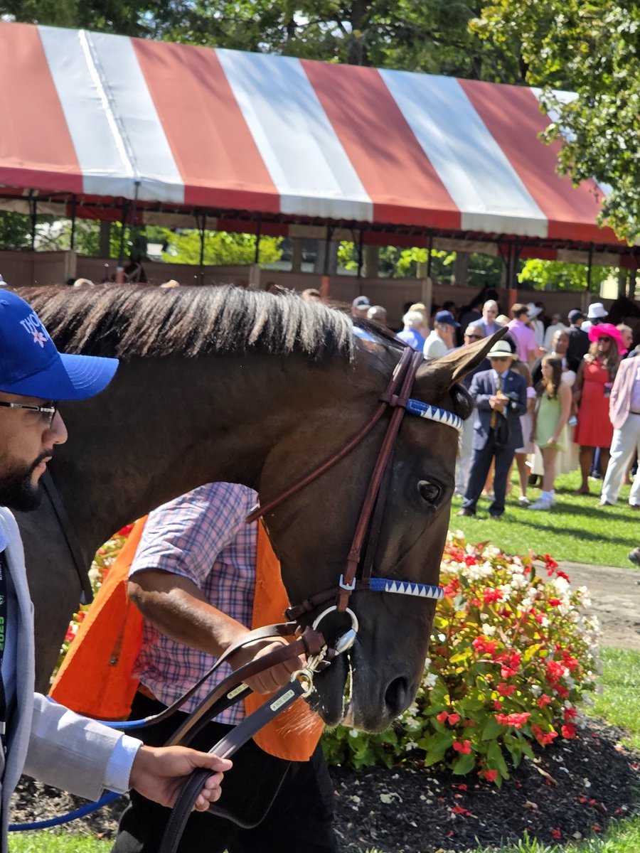 Brian Zipse (@zipseatthetrack) on Twitter photo Thank you for all the memories, Thorpedo Anna!! ❤️
Best wishes on your next career. With 12 wins from 16 career starts and seven Grade 1 victories (not to mention that incredible Travers), you have more than earned your retirement. #HorseOfTheYear <a href="/Thorpedo_Anna/">Thorpedo Anna</a> <a href="/KennyMcPeek/">Kenny McPeek</a> Thank you for all the memories, Thorpedo Anna!! ❤️
Best wishes on your next career. With 12 wins from 16 career starts and seven Grade 1 victories (not to mention that incredible Travers), you have more than earned your retirement. #HorseOfTheYear <a href="/Thorpedo_Anna/">Thorpedo Anna</a> <a href="/KennyMcPeek/">Kenny McPeek</a>