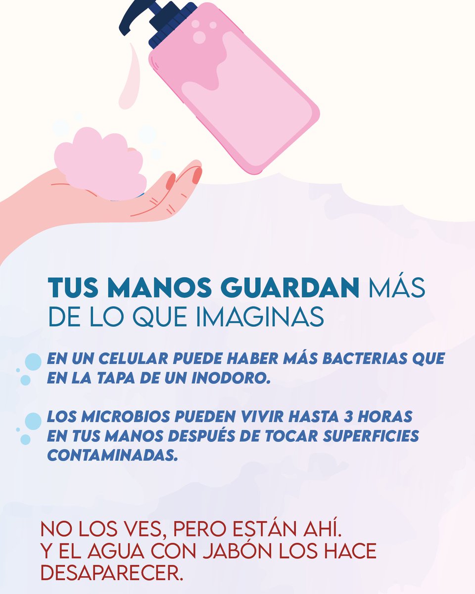 Toraxchile's tweet image. 👋 Cada lavado de manos es un acto de cuidado.
Hoy, en el #DíaMundialDelLavadoDeManos, recordamos que este hábito salva vidas. 💧
Revisa nuestras recomendaciones 👇
#CuidémonosEntreTodos #InstitutoNacionalTórax