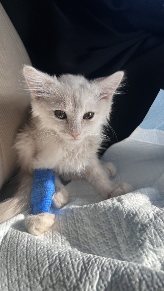 بسم الله عليك وعلى قلبك وروحك 😔
تكفون ادعوا لوليدي بندق
 بالشفا العاجل

استودعتك الله التي لاتضيع ودائعه