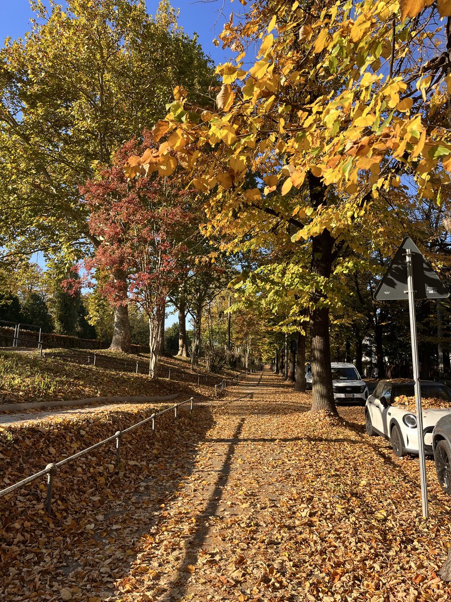 FedericaMagnano's tweet photo. Autunno. Via Pio X, Padova. https://t.co/GwRKLkzD8A