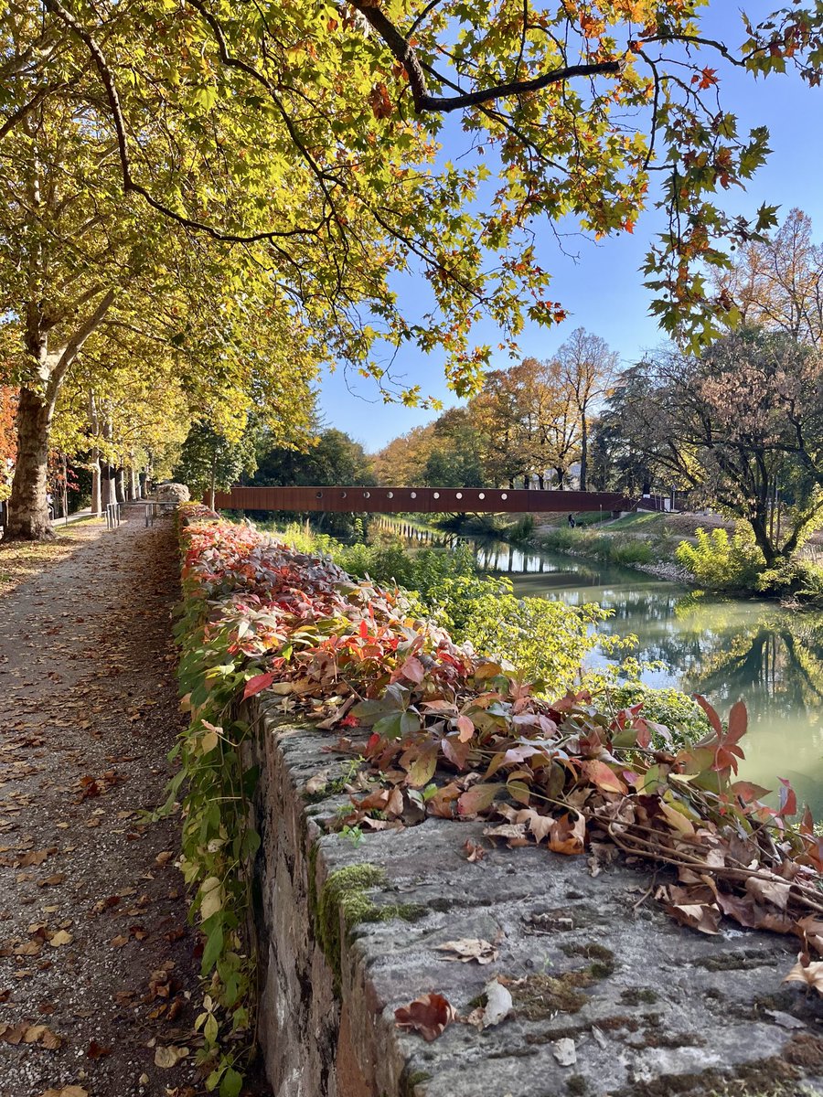 FedericaMagnano's tweet photo. Autunno. Via Pio X, Padova. https://t.co/GwRKLkzD8A
