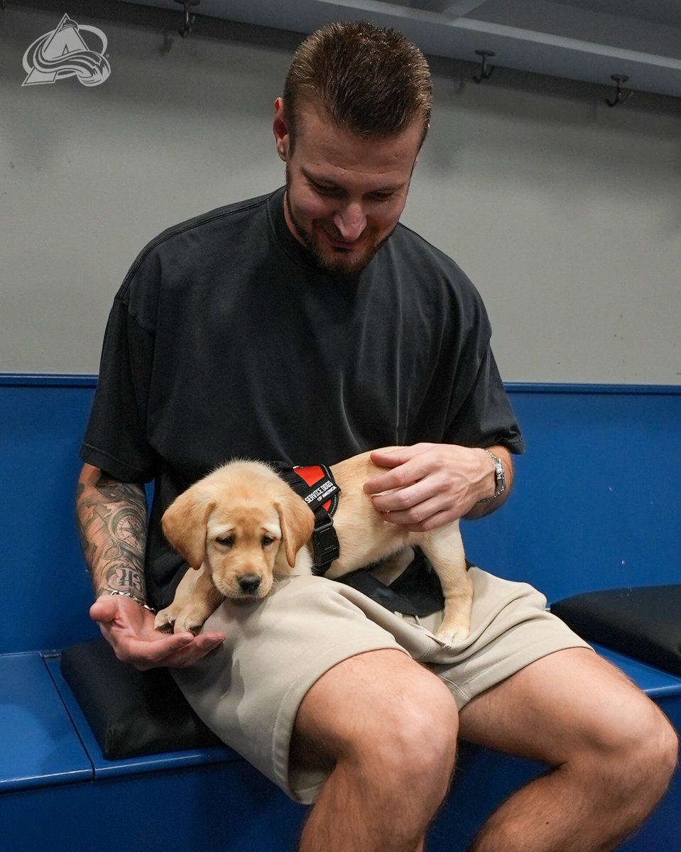 Colorado Avalanche tweet media