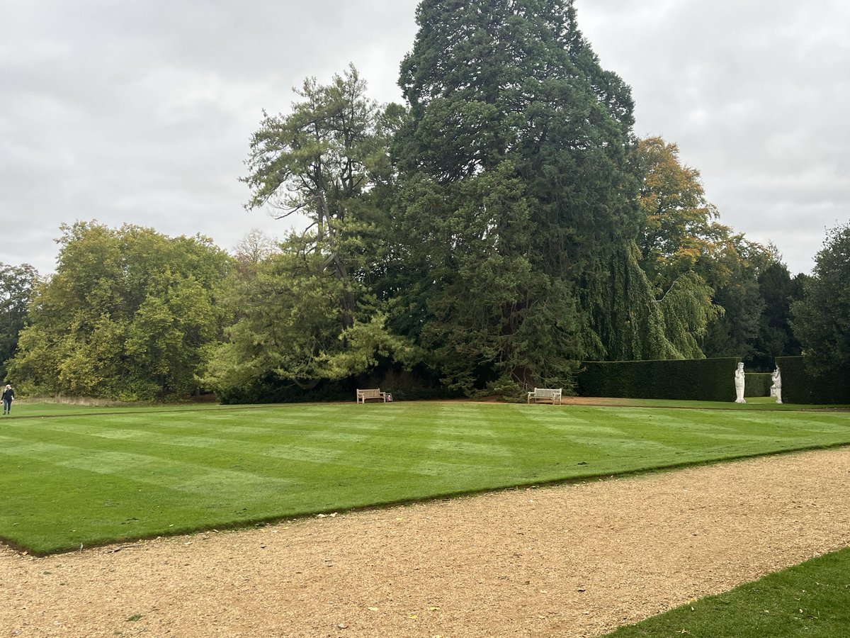 CTC_Sally's tweet image. Autumn is full of beautiful colours and so is @olmixgroup Marathon 💚 🌱 #colourful #greengreengrass