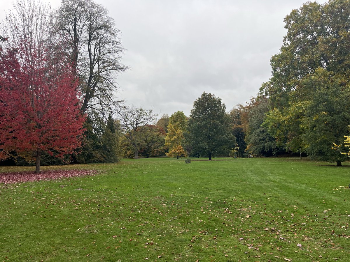 CTC_Sally's tweet image. Autumn is full of beautiful colours and so is @olmixgroup Marathon 💚 🌱 #colourful #greengreengrass