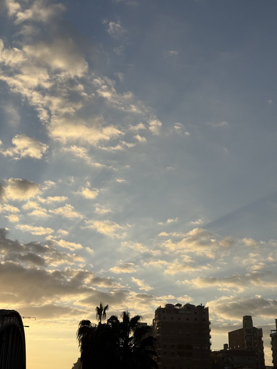 ma7moud3mr_'s tweet photo. 7 AM. https://t.co/1wOyrq1VGS