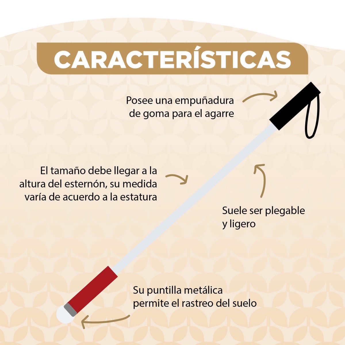 DIFEM_'s tweet image. ¿Ya conocías qué es el bastón blanco? En este día reafirmamos nuestro compromiso de llevar #ElPoderDeServir para fortalecer la inclusión y la accesibilidad de las personas con discapacidad. 🦯🦮