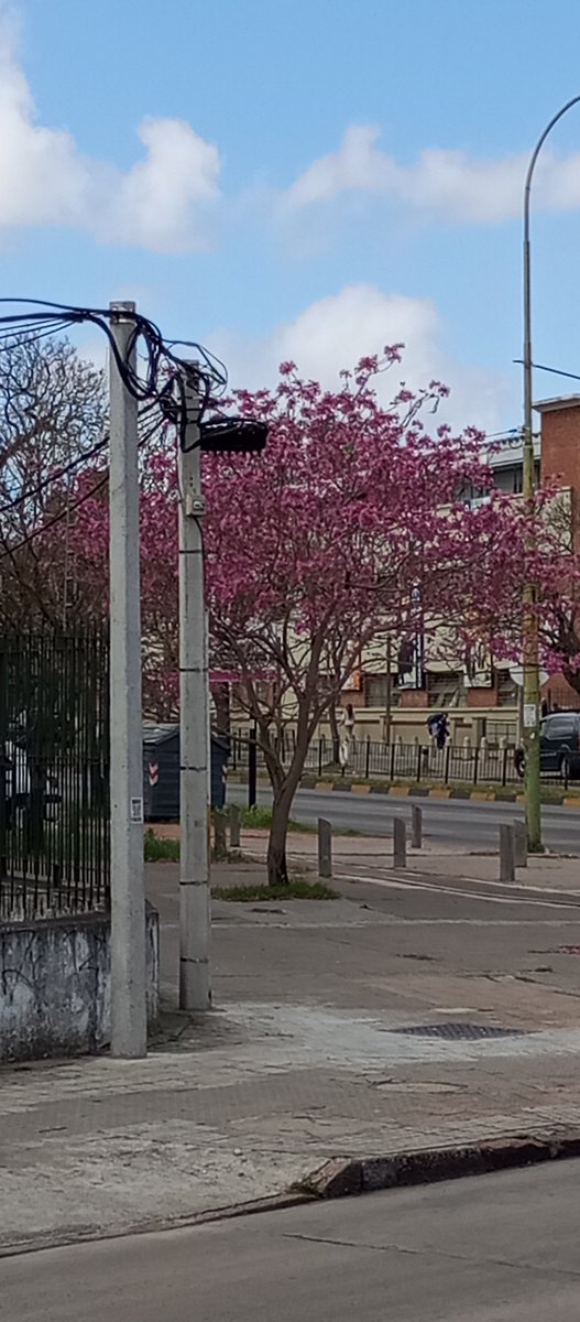 geekynflirty's tweet image. 