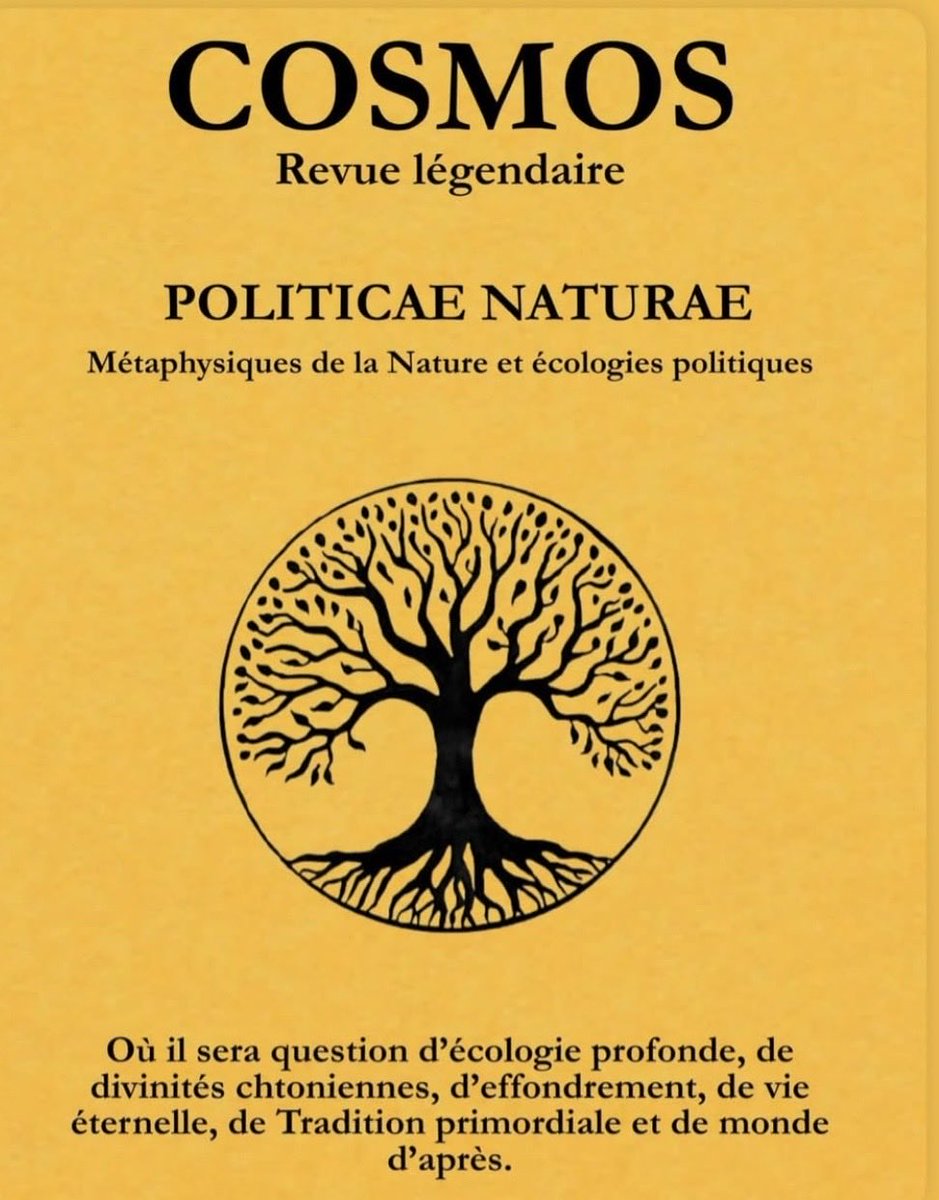 Adrien Nonjon tweet media